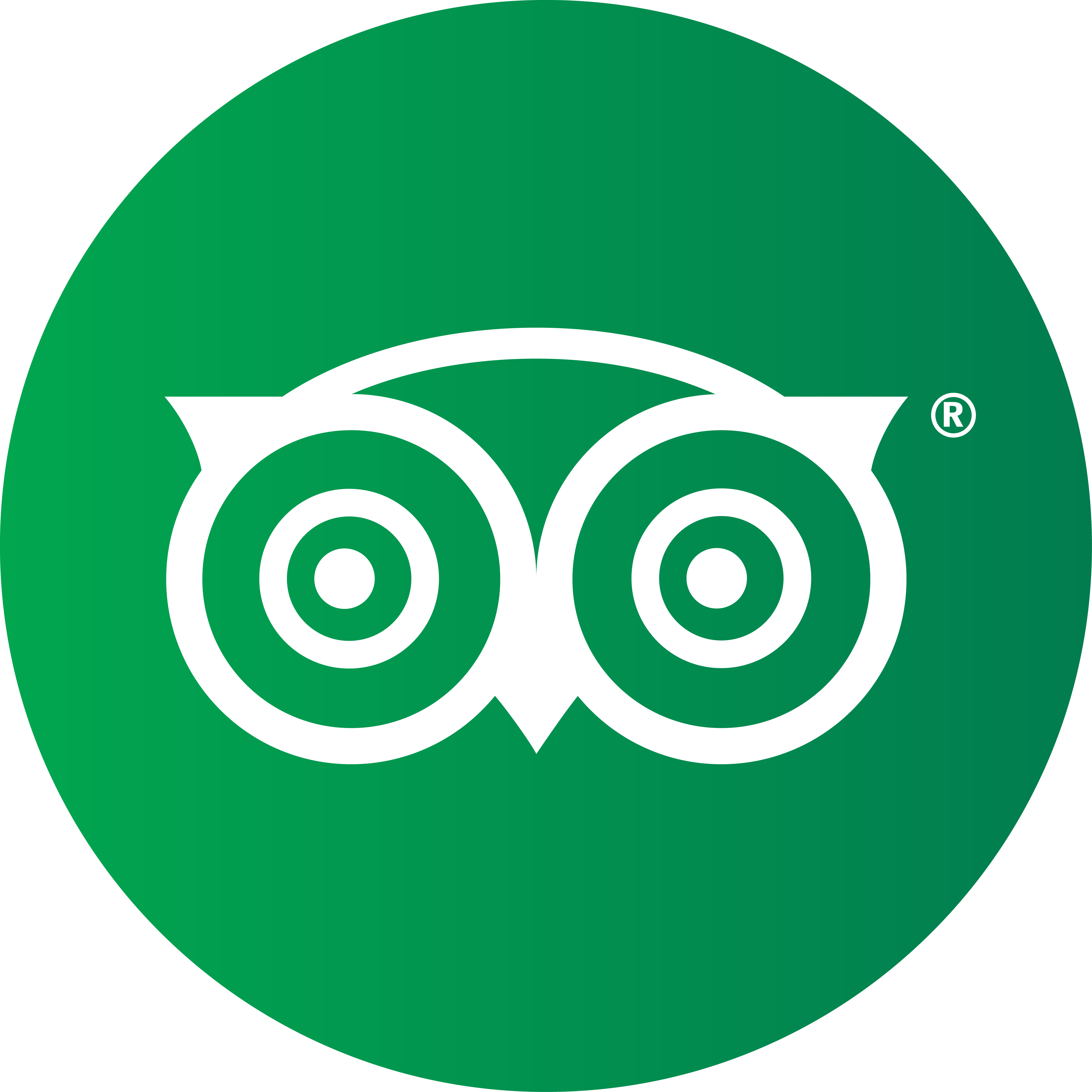 Icono que redirige a la página de tripadvisor de Tierra de Perezosos